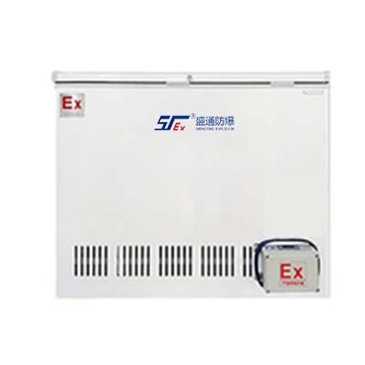昌平區防爆臥式冰箱雙門-300L